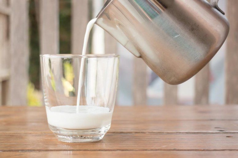 В Украине увеличивается количество молока экстрасорта | MIZEZ