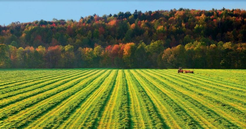 Уряд Канади викупить у фермерів надлишки продукції з благодійною метою | MIZEZ