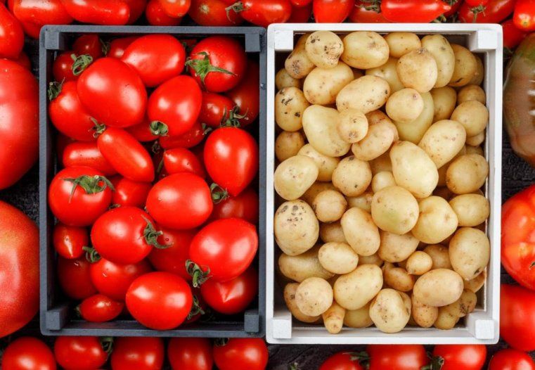 Выгодно ли выращивать органические овощи в теплице? | MIZEZ