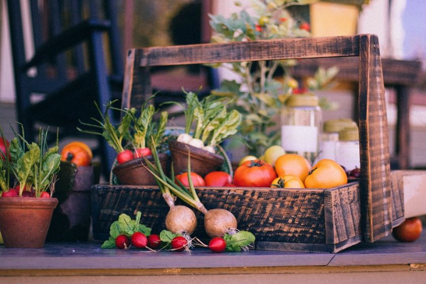 Локальные овощи и фрукты: экологично и полезно | MIZEZ