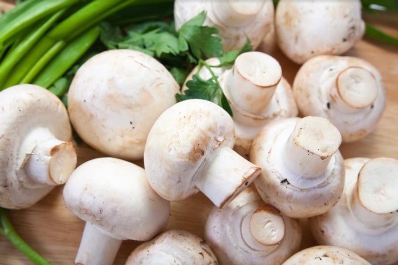 Как карантин повлиял на грибоводство? | MIZEZ