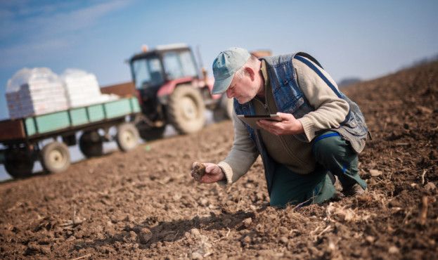 Одесские аграрии уже смирились с потерями посевов и готовятся работать в минус | MIZEZ