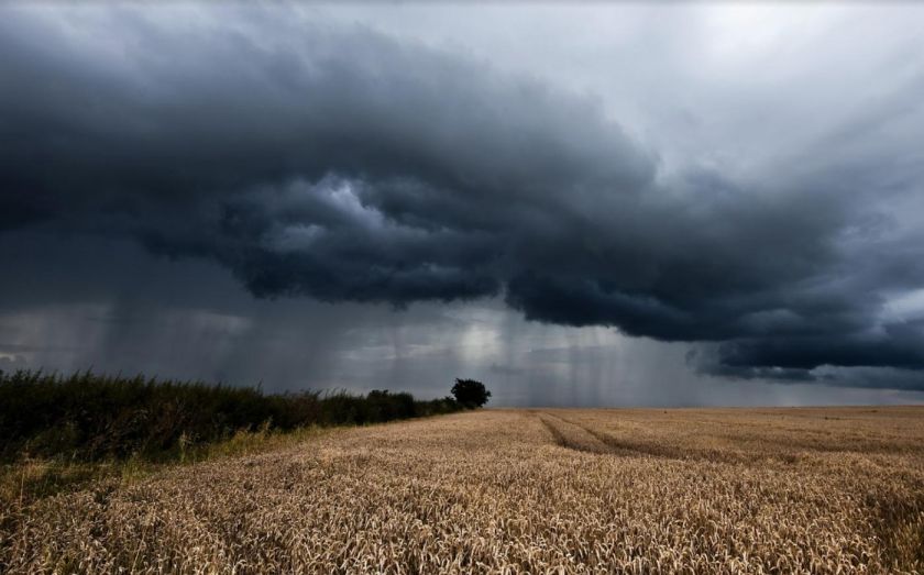 Новая угроза урожаю — затяжные дожди по всей Украине | MIZEZ