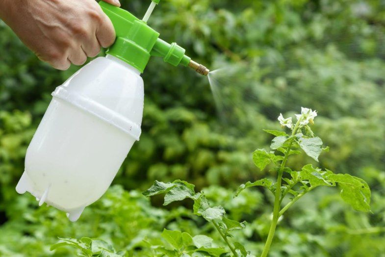 Нелегальных пестицидов изъято на сумму 94 млн евро | MIZEZ