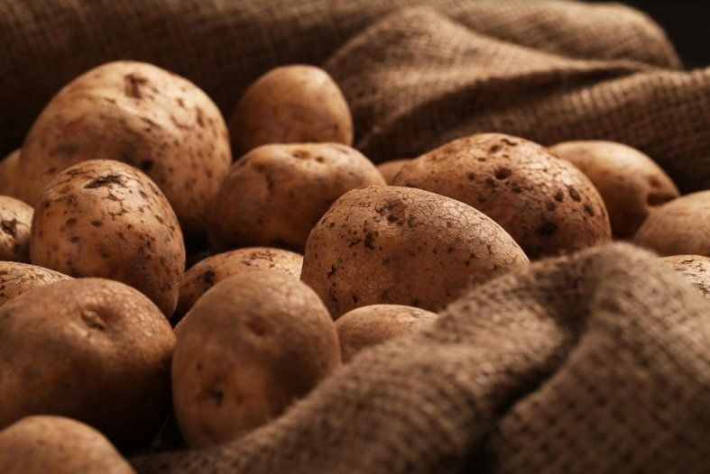 Чем грозит стандарт ООН для рынка картофеля? | MIZEZ