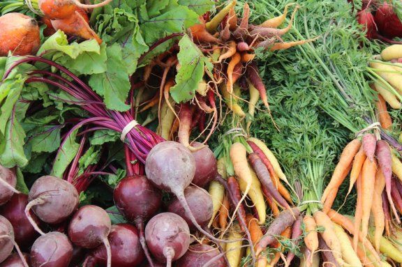 Вырастут цены на овощи из “борщевого набора”? | MIZEZ