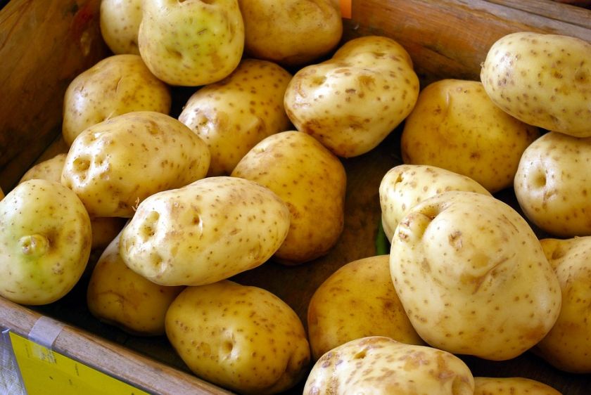 Заражену картоплю з Єгипту знайшли на Миколаївщині | MIZEZ