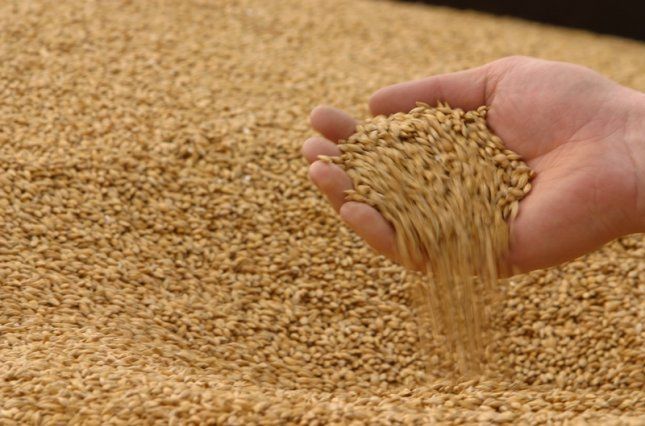 Світовий ринок пшениці Mizez