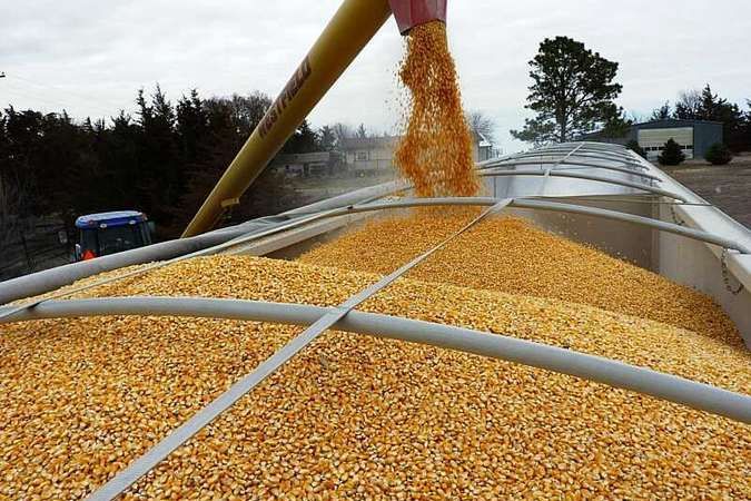 експорт українського зерна Mizez
