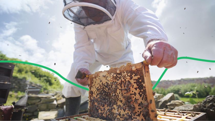 допомога бджолярам від держави 2020 Mizez