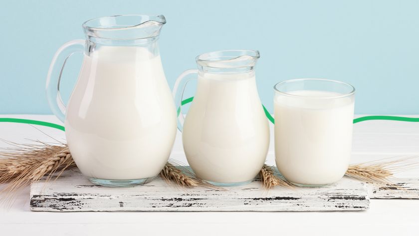 Молоко сохраняет статус наиболее рентабельного продукта животноводства