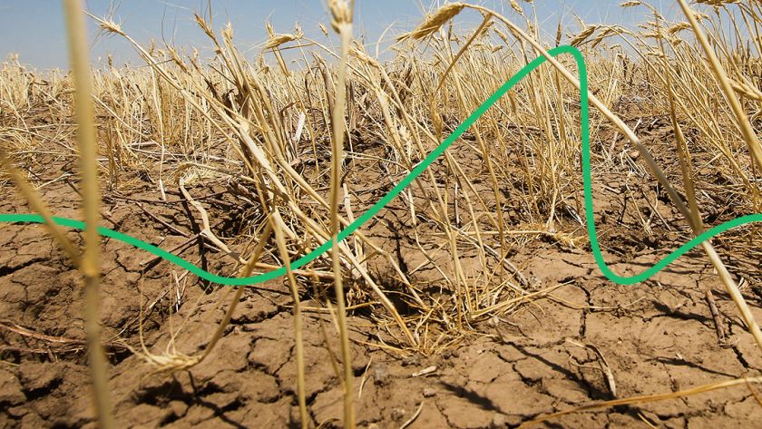 посуха в україні 2020