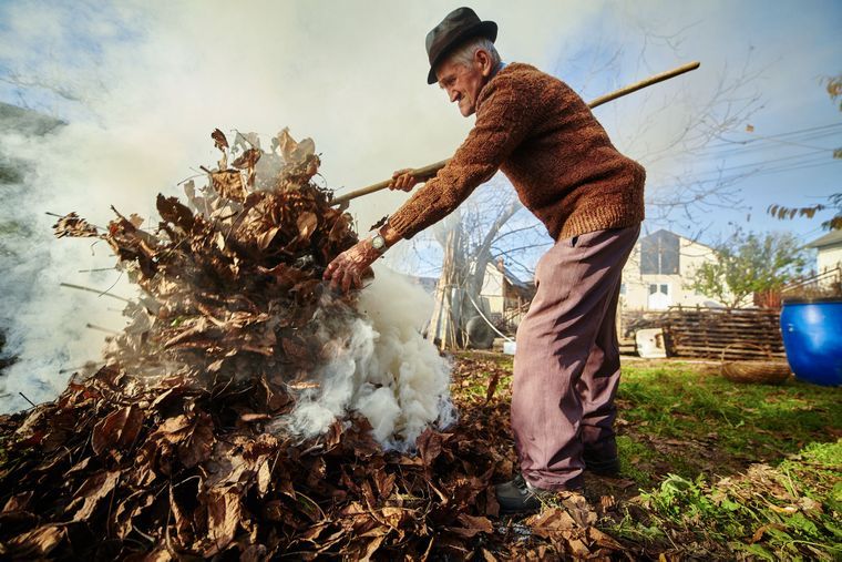 Сжигание травы и листьев: вред для окружающей среды и людей, штрафы и мифы Mizez.com