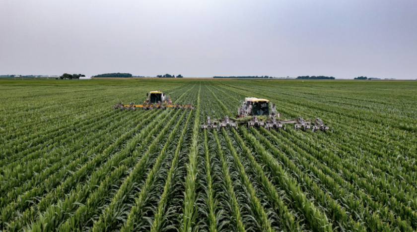 Три способи, як ШІ може допомогти фермерам вирішувати проблеми сучасного сільського господарства.