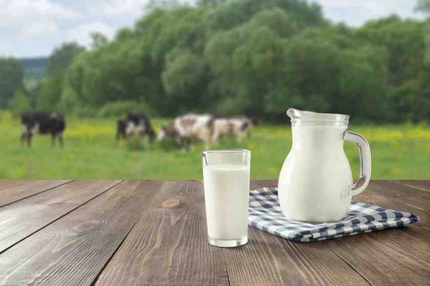 доля молочнотоварных предприятий выросла