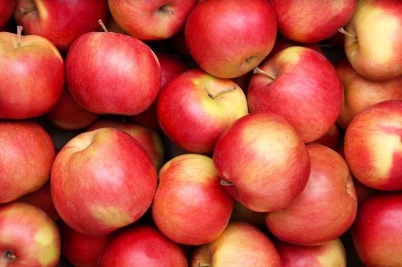 Рынок яблок ожидает рекордный обвал цен | MIZEZ