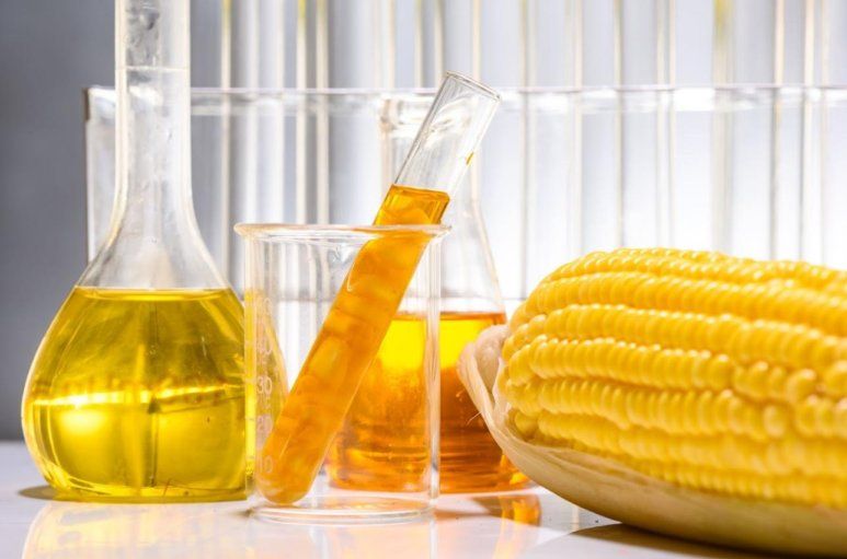 Какие источники биотоплива могут предложить аграрии? | MIZEZ