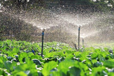Аграриям могут сократить водные лимиты | MIZEZ