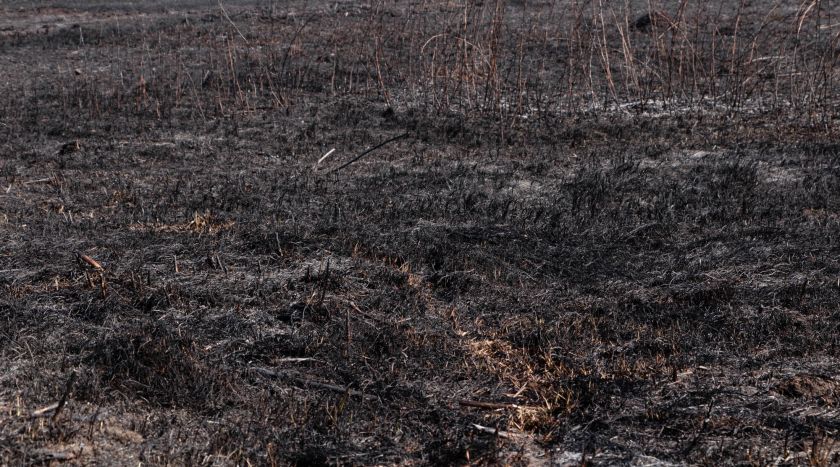 Новые возгорания в Житомирской области
