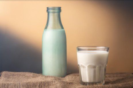 В Україні збільшується кількість молока екстраґатунку | MIZEZ