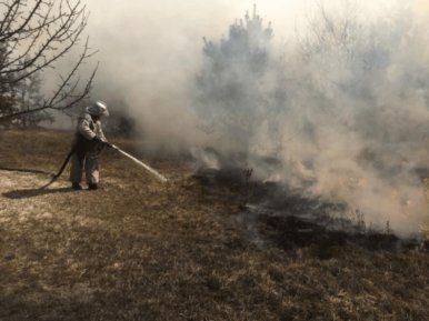 Ліквідація лісових пожеж на території України | MIZEZ