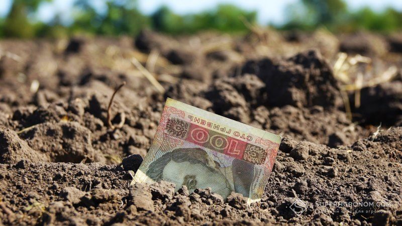 На програму компенсації кредитів для аграріїв виділено 1,2 мільярда гривень 
