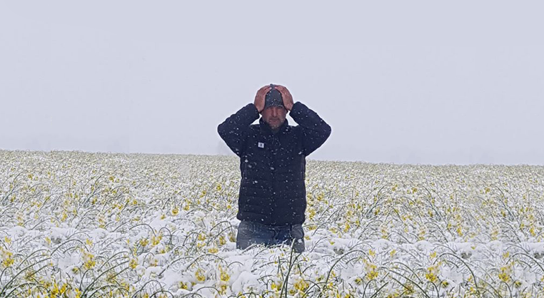 Польские фермеры хватаются за голову: в мае выпал снег