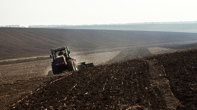 Оприлюднено інформацію щодо втрат врожаю в різних областях України