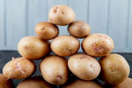 Украинский картофель гниёт, а мы покупаем импортный