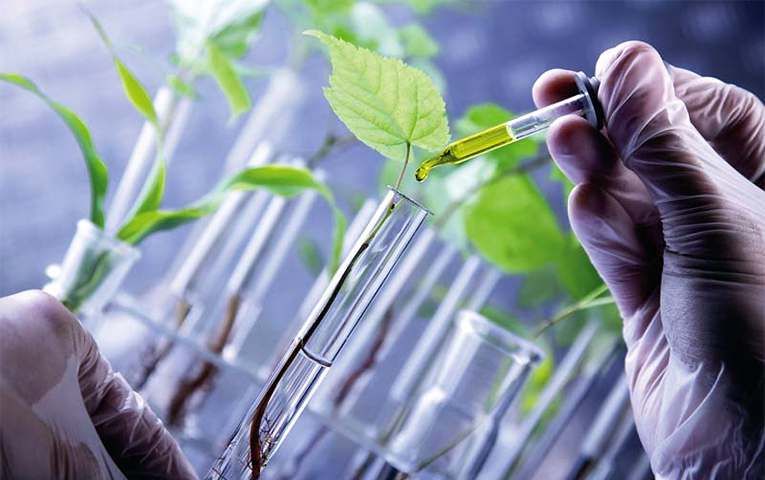 Черниговское ноу-хау: как улучшить урожайность с помощью микробных препаратов