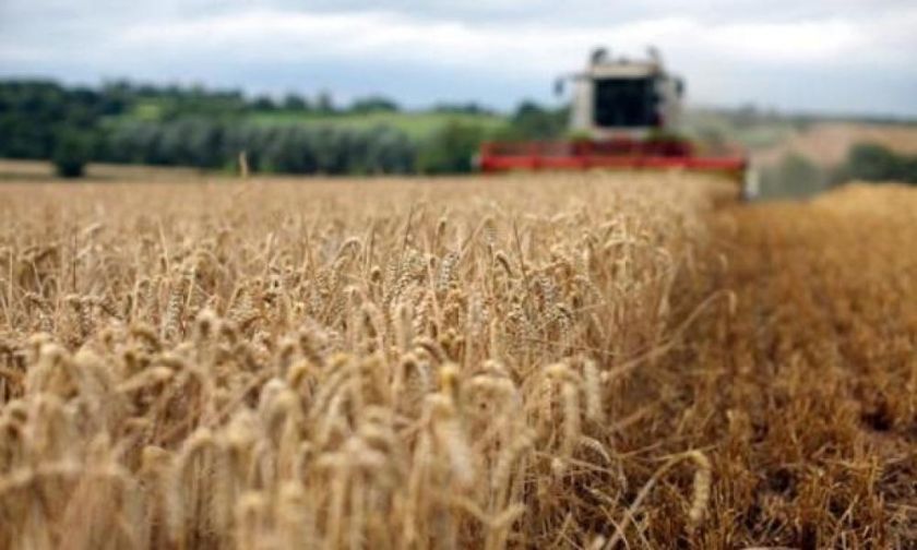 Одеська ОДА виділила 15 млн грн на підтримку аграріїв, які постраждали від посухи