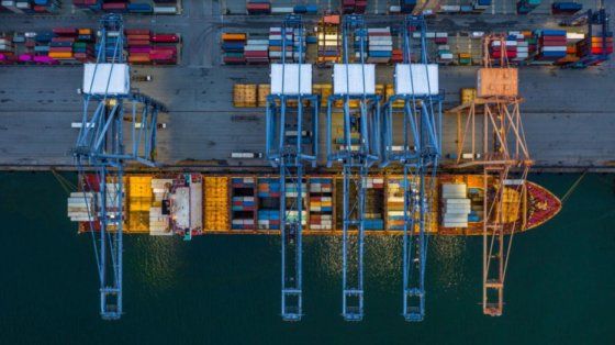 У Держекоінспекції закликають відновити доступ до морських портів | MIZEZ