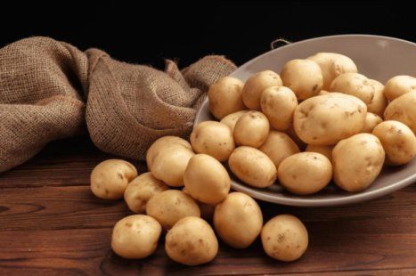 Карантинные мероприятия заблокировали картофельную отрасль в мире | MIZEZ