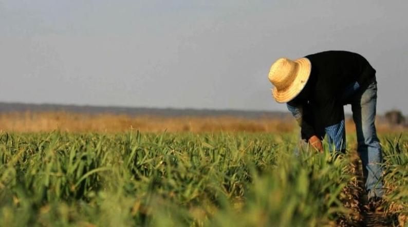 Кількість фермерів в Україні скоротиться до історичного мінімуму вже в цьому році