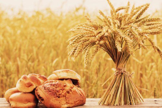 Як вплине новий врожай та криза на хліб в Україні? | MIZEZ