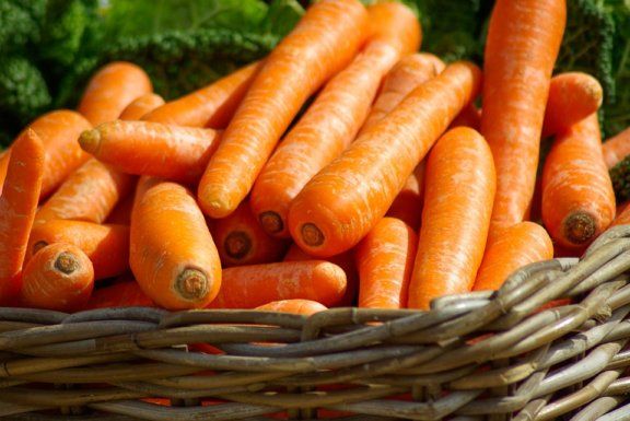 Ціна на моркву поступово знижується, але її вартість вища минулорічної | MIZEZ
