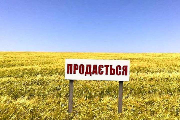 Многочисленные нарушения в сфере приватизации украинской земли