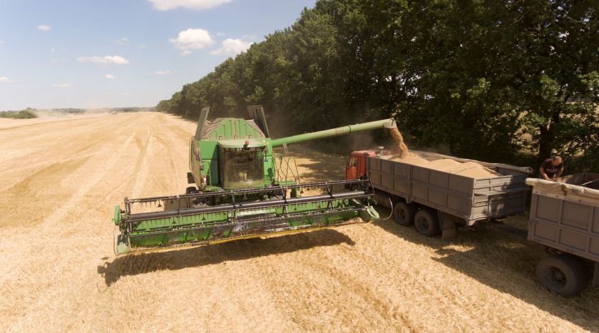 Украина планирует занять место в ТОП-5 мировых лидеров по экспорту зерна