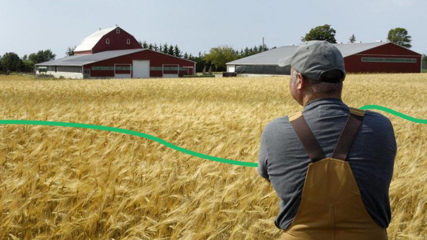 «Около 30% фермерских хозяйств юга уже свернули свою деятельность», — эксперт