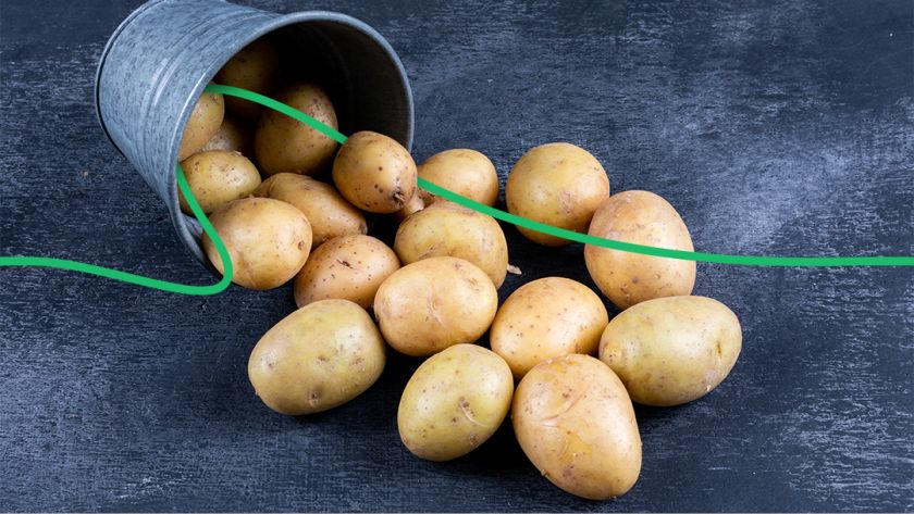 Украинский картофель: перспективы и цены будущего урожая