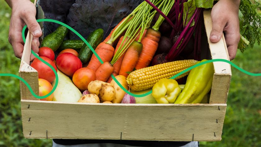 Ринок органічної їжі у Європі збільшиться
