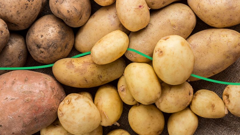 Куди можна подіти браковану картоплю після збору врожаю?