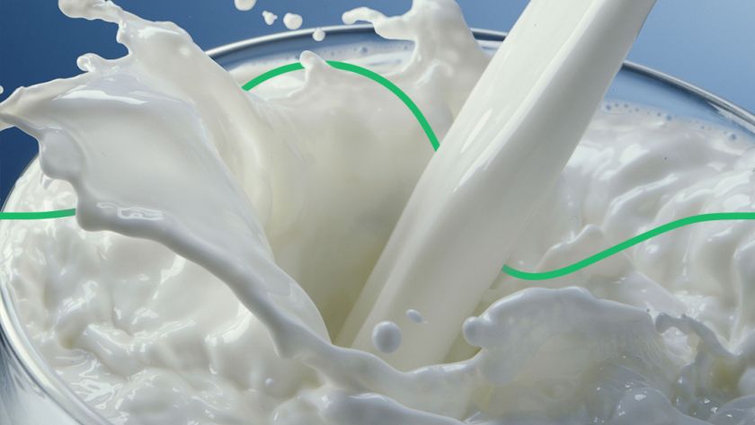 В Украине подорожает сырое молоко