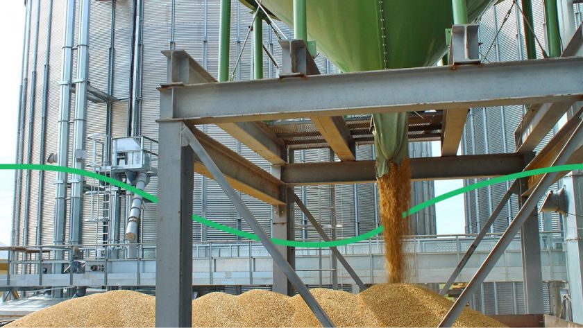 Госрезерв потерял пшеницы на общую сумму более 22,3 млн грн
