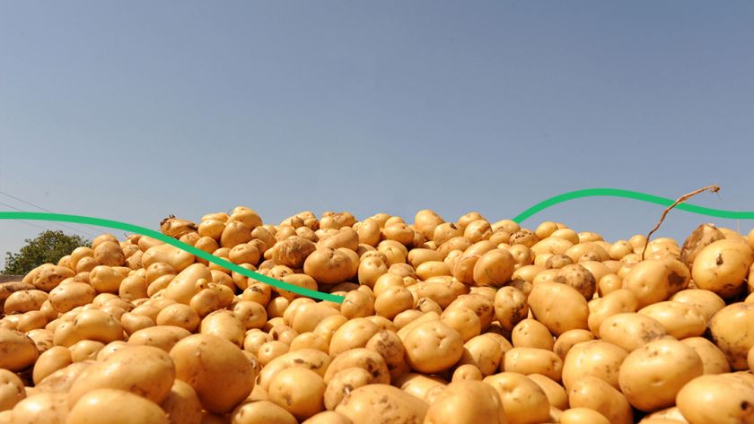 Украина вошла в тройку лидеров 2019 по производству картофеля