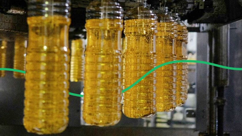 Эксперты назвали крупнейших украинских экспортеров подсолнечного масла