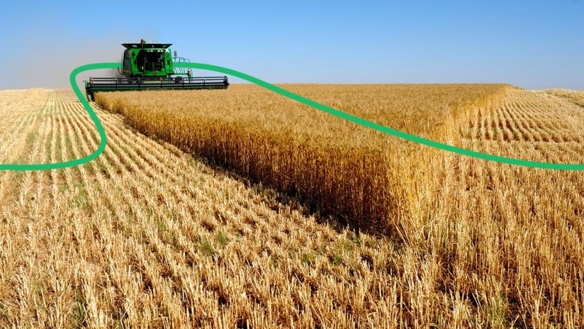 В Украине осталось убрать менее 30% площадей под зерновыми