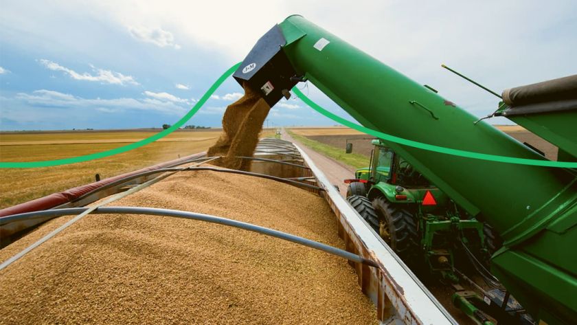Аграрії вирішили відкласти продаж пшениці до весни 2021 року