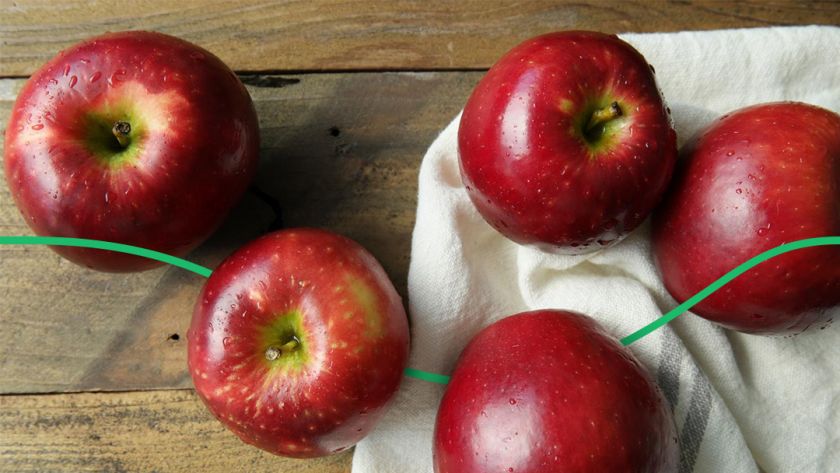 Яблука для експорту: які сорти найперспективніші