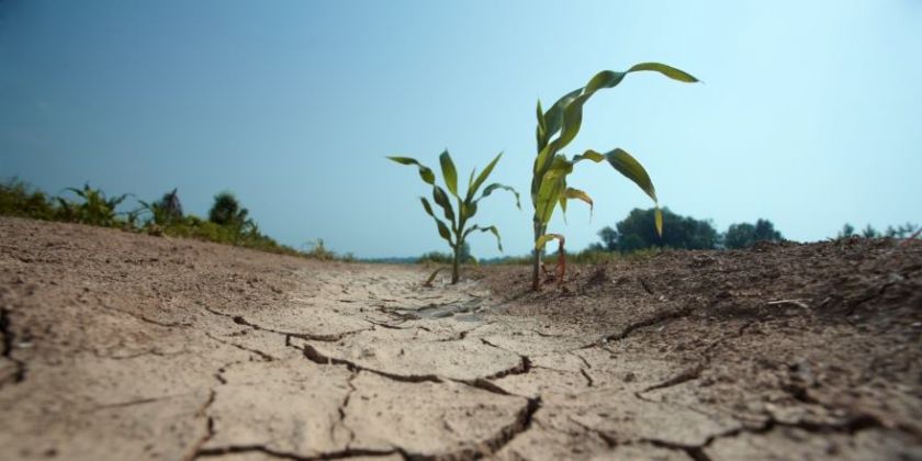 В Україну йдуть спека та посуха: прогноз погоди на початок червня